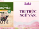 bai-6-tri-thuc-ngu-van-tinh-cam-cam-xuc-trong-tho-cam-hung-chu-dao-trong-tho-loi-ve-trat-tu-trong-cau-va-cach-sua-ngu-van-10-chan-troi-sang-tao