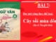 bai-7-cay-soi-mua-dong-iu-ri-na-ghi-bin-ngu-van-8-tap-2-chan-troi-sang-tao
