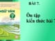 bai-7-on-tạp-bai-7-sgk-ngu-van-7-tap-2-sach-chan-troi-sang-tao
