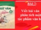 bai-7-viet-bai-van-phan-tich-mot-tac-pham-van-hoc-ngu-van-8-tap-2-chan-troi-sang-tao