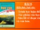 bai-8-kien-thuc-ngu-van-trinh-bay-luan-diem-tac-pham-van-hoc-sua-loi-ve-doan-van-va-van-ban-ngu-van-10-canh-dieu