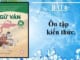 bai-8-on-tap-kien-thuc-bai-8-ngu-van-8-tap-2-chan-troi-sang-tao