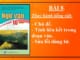 bai-8-thuc-hanh-tieng-viet-chu-de-tinh-lien-ket-trong-doan-van-sua-loi-dung-tu-ngu-van-10-canh-dieu