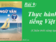 bai-9-thuc-hanh-tieng-viet-sgk-ngu-van-7-tap-2-sach-chan-troi-sang-tạo
