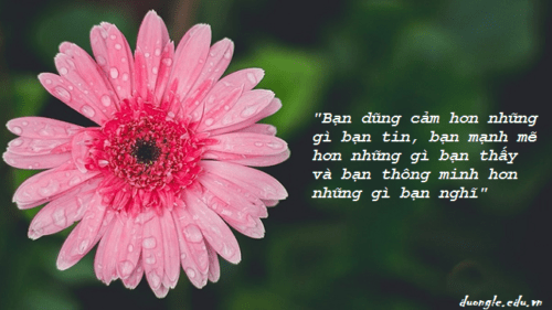 ban-dung-cam-hon-nhung-gi-ban-tin-ban-manh-me-hon-nhung-gi-ban-thay-va-ban-thong-minh-hon-nhung-gi-ban-nghi