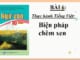 bien-phap-chem-xen-ngu-van-10-canh-dieu