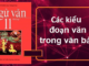 cach-thuc-trinh-bay-doan-van-nghi-luan