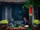 cam-nghi-ve-huong-vi-banh-chung-ngay-tet