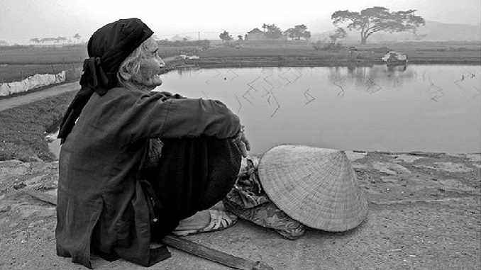 cam-nhan-bai-tho-me-vien-phuong