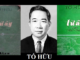 cam-nhan-bai-tho-tu-ay-cua-to-huu