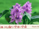 cam-nhan-ve-dep-cua-mua-xuan-trong-doan-tho-sau-moc-giua-dong-song-xanh-tat-ca-nhu-xon-xao