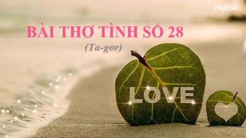 cam-nhan-ve-dep-tinh-yeu-trong-bai-tho-tinh-so-28