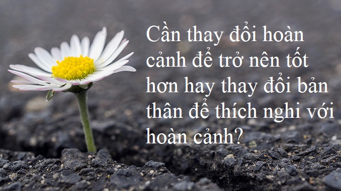 can-thay-doi-hoan-canh-de-tro-nen-tot-hon-hay-thay-doi-ban-than-de-thich-nghi-voi-hoan-canh