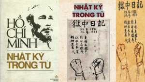 canh-bao-bao-dong-ngay-12-thang-11-nhat-ki-trong-tu-ho-chi-minh