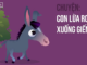 cau-chuyen-con-lua-vo-dung