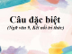 cau-dac-biet-ngu-van-9-ket-noi-tri-thuc