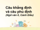 cau-khang-dinh-va-cau-phu-dinh-ngu-van-8-canh-dieu