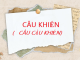 cau-khien-cau-cau-khien