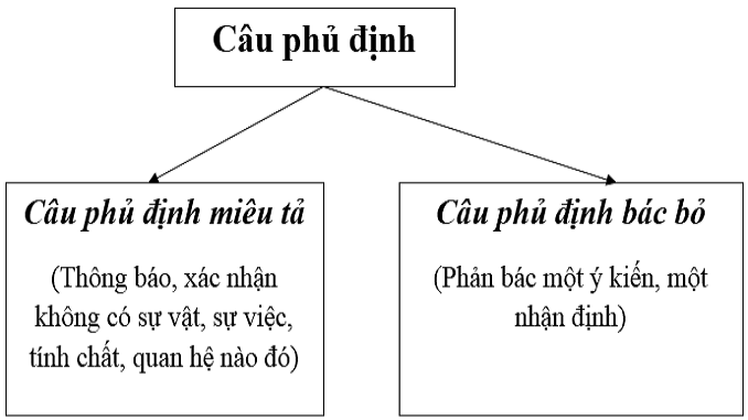 cau-phu-dinh