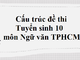 cau-truc-de-thi-tuyen-sinh-10-mon-ngu-van-tphcm