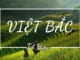 chat-tru-tinh-chinh-tri-trong-bai-tho-viet-bac