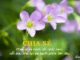 chia-se-la-cach-tot-nhat-lam-noi-dau-nho-lai-va-hanh-phuc-lon-len