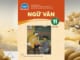 chieu-suong-bui-hien-bai-6-ngu-van-11-tap-2-chan-troi-sang-tao