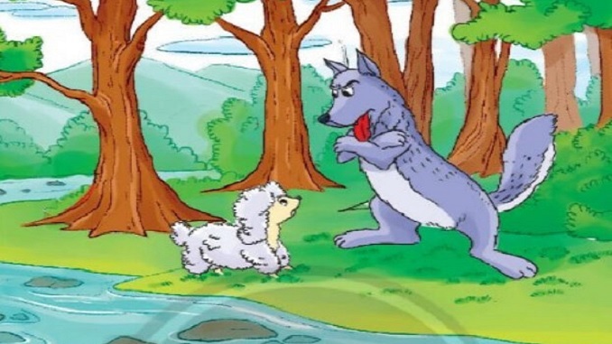 cho-soi-va-chien-con-ngu-ngon-chon-loc-la-phong-ten