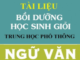 chuyen-de-luyen-thi-hoc-sinh-gioi-van-123
