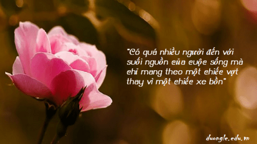 co-qua-nhieu-nguoi-den-voi-suoi-nguon-cua-cuoc-song-ma-chi-mang-theo-mot-chiec-vot-thay-vi-mot-chiec-xe-bon