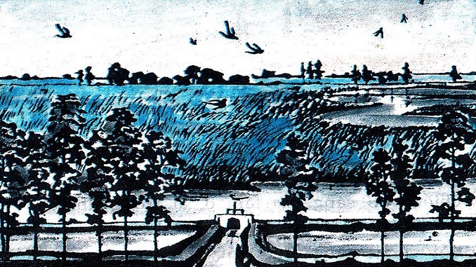 con-chim-chien-chien-huy-can