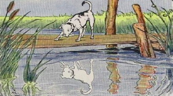 Văn bản: CON CHÓ VÀ CÁI BÓNG (Ngụ ngôn Easop) 5 con-cho-va-cai-bong