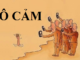 dan-bai-nghi-luan-ve-hien-tuong-vo-cam