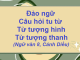 dao-ngu-cau-hoi-tu-tu-tu-tuong-hinh-va-tu-tuong-thanh-ngu-van-8-canh-dieu