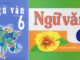 de-cuong-on-tap-van-ban-hoc-ky-2-ngu-van-6