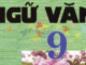 de-kiem-tra-hoc-ky-1-ngu-van-9-de-bai-5