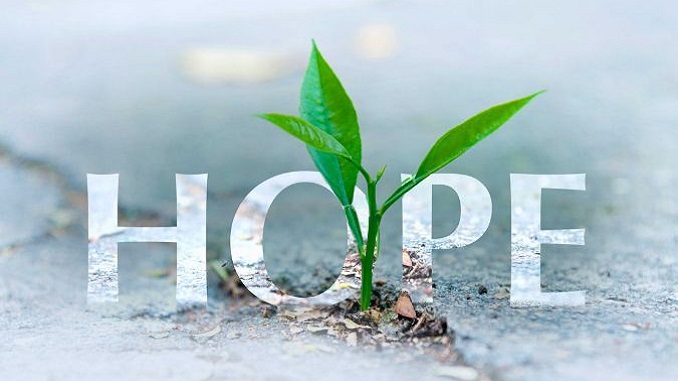 Đề số 20. Đọc hiểu văn bản ĐỪNG BAO GIỜ TỪ BỎ HI VỌNG. Nghị luận xã hội: Cách ứng xử khi bị lôi kéo vào các hoạt động tiêu cực trong nhà trường 3 de-so-20-doc-hieu-van-ban-dung-bao-gio-tu-bo-hi-vong