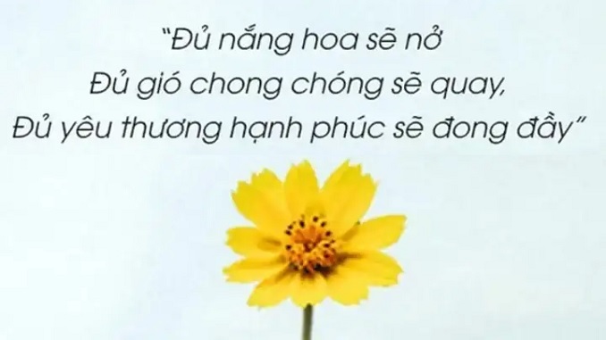 Đề số 24. Đọc hiểu văn bản CHO ĐI LÀ CÒN MÃI. Nghị luận xã hội: Kết nối với gia đình. Nghị luận văn học: MÙA VẢI CHÍN (Nguyễn Thị Thuý Ngoan) 2 de-so-25-doc-hieu-van-ban-cho-di-la-con-mai-nlxh-ket-noi-voi-gia-dinh-nlvh-mua-vai-chin-nguyen-thi-thuy-ngoan