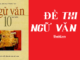 de-thi-khao-sat-chat-luong-ngu-van-10
