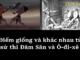 diem-giong-nhau-va-khac-nhau-su-thi-dam-san-va-o-di-xe