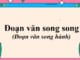 doan-van-song-song-doan-van-song-hanh