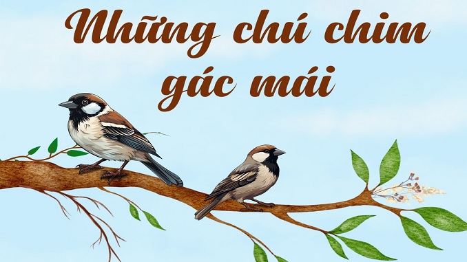 doc-hieu-nhung-chu-chim-gac-mai
