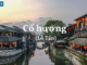 doc-hieu-van-ban-co-huong-lo-tan