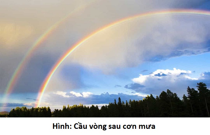 Đọc hiểu văn bản thông tin: CẦU VÒNG | Lớp 8 3 doc-hieu-van-ban-thong-tin-cau-vong-lop-8