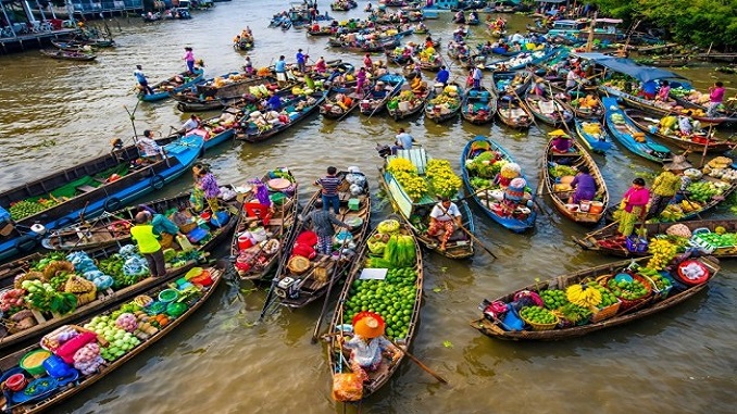 doc-hieu-van-ban-thong-tin-cho-noi-dang-co-nguy-co-chim