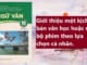 gioi-thieu-mot-kich-ban-van-hoc-hoac-mot-bo-phim-theo-lua-chon-ca-nhan-ngu-van-11-tap-1-chan-troi-sang-tao