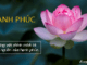hai-long-voi-chinh-minh-la-ngon-nguon-cua-hanh-phuc