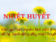 hay-khoi-goi-ham-muon-lam-viec-o-nguoi-khac