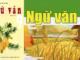 huong-dan-chuan-bi-cho-chuong-trinh-dia-phuong-phan-tap-lam-van-se-lam-o-nha-sgk-ngu-van-9-tap-2