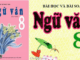 huong-dan-lam-phan-doc-hieu-trong-de-kiem-tra-ngu-van